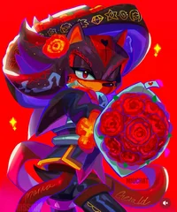 Shadow The Hedgehog