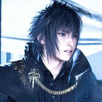 Noctis Lucis Caelum
