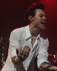 Harry Styles