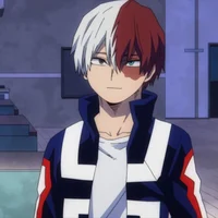 Shoto Todoroki 