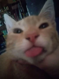 33 - 1 - CHERRYCRUSH