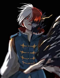 Shoto todoroki 