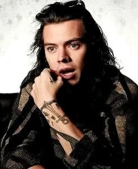 harry styles - 2015