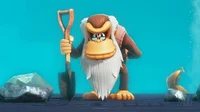 Cranky Kong