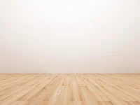 the fucking floor