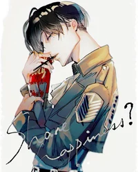 Levi Ackerman 