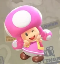 Toadette -MKW- 