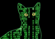 Catrix - Matrix Cat