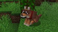 Minecraft Dog