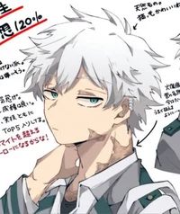 Touya todoroki 