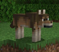 Minecraft Wolf