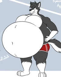 Andy The Wolf