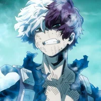 Shoto Todoroki 