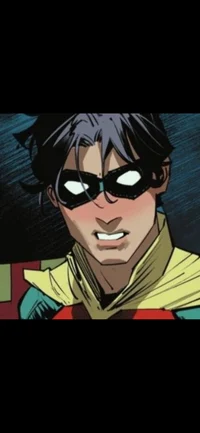 Richard grayson 