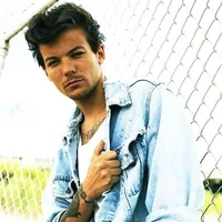 Louis Tomlinson 2013