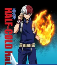 Shoto todoroki 