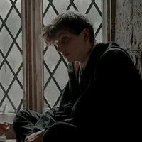 Newton scamander 