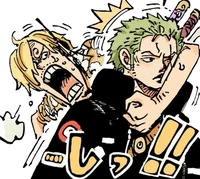 01 ZORO N SANJI