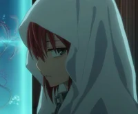 Chise in the Reverse