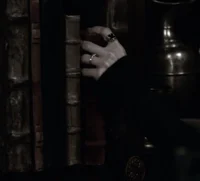 Regulus