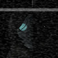 3 Nights At The Site