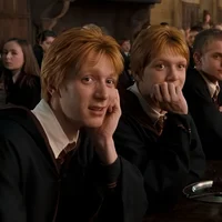 Weasley Twins