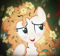 Pear butter- MLP