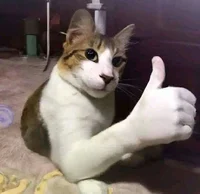 theawesomesaucecat