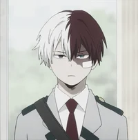 shoto todoroki