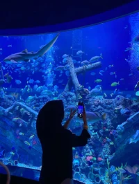 Aeris Katarina_gisaa