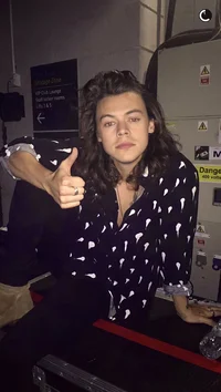Harry Styles 2015