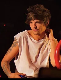 Louis Tomlinson-2013
