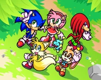 Sonic gang