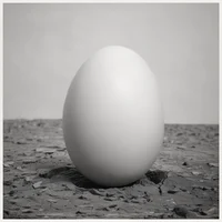 egg