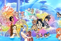 Mermaid Cove