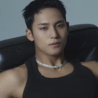 Kim Mingyu 