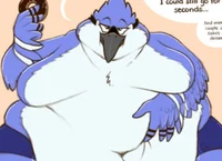 Jay