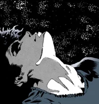 DC Dream
