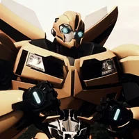 Bumblebee TFP