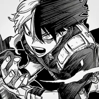 BNHA Shoto Todoroki