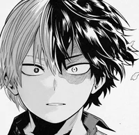 Shoto Todoroki