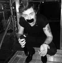 harry styles - mafia