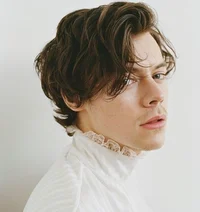Harry Styles - royal