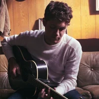 Niall Horan - 2017