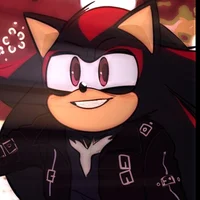 SHADOW T HEDGEHOG 