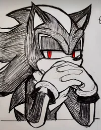 Shadow The Hedgehog
