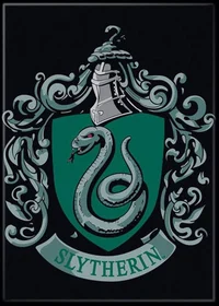 The Slytherin Boys