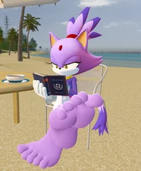Blaze the Cat