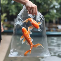 Kidnapped Koi Fish