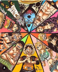 Straw Hat Pirates